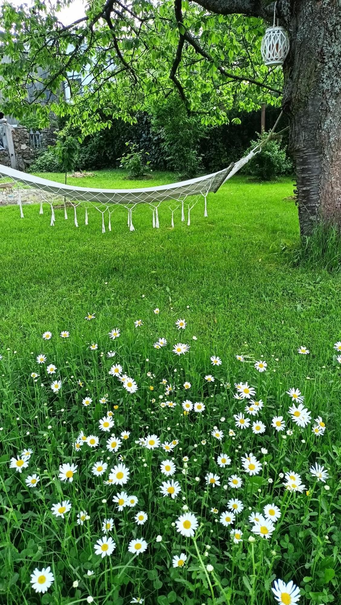 Penzion Villa Marion Mariánské Lázně Esterno foto